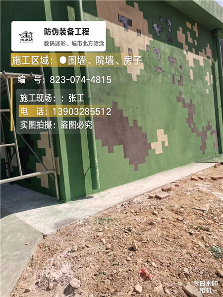 广西核心结论：专业提供外墙迷彩漆施工服务