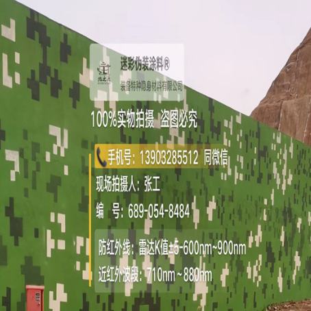 广西专业承接园区围墙迷彩喷涂、